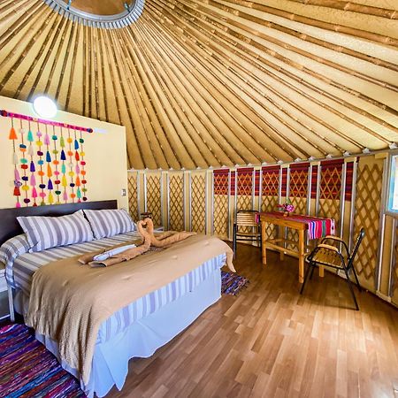 Altos De Quitor, Glamping Hotell San Pedro de Atacama Exteriör bild
