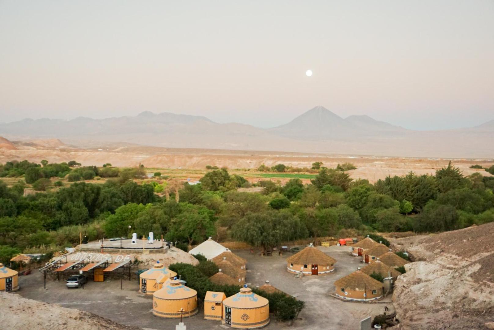 Altos De Quitor, Glamping Hotell San Pedro de Atacama Exteriör bild